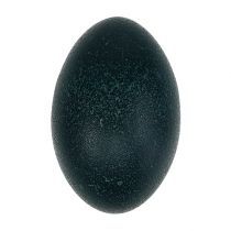 kategorie Vejce a velikonoční vajíčka