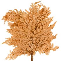 kategorie Větve, klacky a větvičky