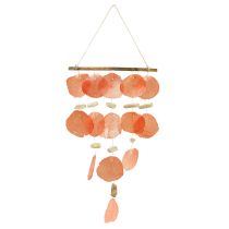 kategorie Dekorace mušle