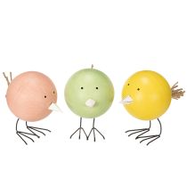 kategorie Dekorativní ptáci a motýli