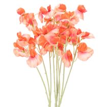 kategorie Zahradní květina a luční květina