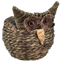 kategorie Figurky sovy a ježka
