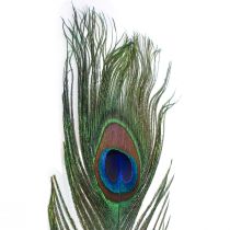 Dekorativní peříčka z pavích peří na výrobu ptačích peří V78cm 10 kusů