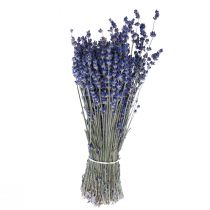 Sušená levandule Svazek sušených květů modrý 25cm 75g