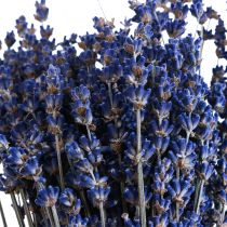 položky Sušená levandule Svazek sušených květů modrý 25cm 75g