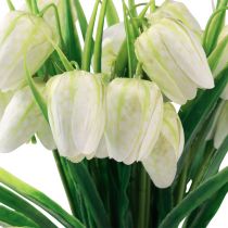 položky Fritillaria bílá šachovnicová květina umělé květiny 38cm 6ks