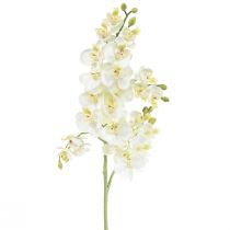 Phalaenopsis Umělé Orchideje Umělé Květiny Bílé 70cm