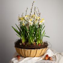 položky Kulatý květináč, květinová dekorace, plastová miska, nádoba na aranžmá zelená, bílá melír V8,5cm Ø30cm