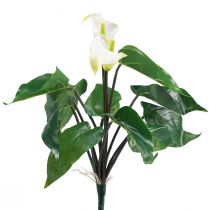 položky Calla Lily Kalla umělé květiny Bílé exotické květiny 34cm