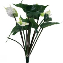 Umělé květiny, květ plameňáka, umělá anthurium bílá 36cm
