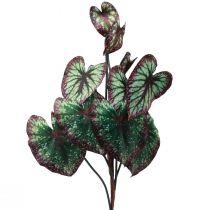 položky Begonia Umělé rostliny Listové Begonie Zelenofialové 62cm