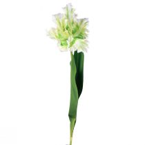položky Umělý květ papoušek tulipán umělý tulipán zelený bílý 69cm