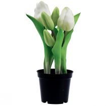 položky Umělé tulipány v květináči Bílé tulipány umělé květiny 22cm