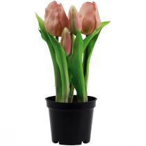 položky Umělé tulipány v květináči Tulipány Peach umělé květiny 22cm