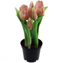 položky Umělé tulipány v květináči Tulipány Peach umělé květiny 22cm