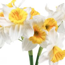 položky Umělé narcisy bílé hedvábné květy narcisy 40cm 3 ks