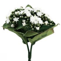 položky Umělá Kalanchoe Flaming Käthchen White 24cm