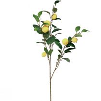 položky Dekorativní citronová větev se 6 umělými citrony 100cm