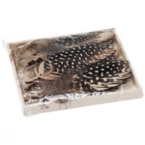 položky Ozdobný přívěsek peříčka dřevěné přírodní pírko 9,5/10cm 9 ks