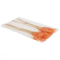 položky Ozdobná peříčka oranžová ptačí peříčka na špejli 36cm 12 ks