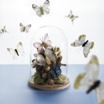 položky Skleněný zvonek na dřevěném podnosu, sklenice, čirý, přírodní, Ø17cm, H24cm