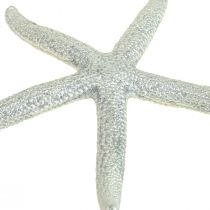 Hvězdice stříbrná námořní dekorace hvězdice letní dekorace 7,5 cm 10 kusů