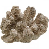 Námořní dekorace, mořský živočich, dekorace korálový polyresin 13,5x11,5cm