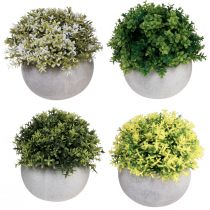 položky Umělé rostliny Umělý buxus 12,5cm×Ø12cm 4ks