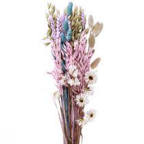 Sušená kytice slámových květů Phalaris grain 58cm