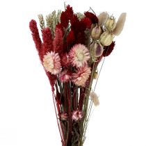 položky Sušená kytice slámových květů Phalaris červená 30cm