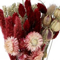 položky Sušená kytice slámových květů Phalaris červená 30cm