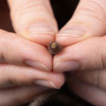 položky Knotová nit, vlněná šňůra, hnědá, 55m dekorativní šňůra pro květinářství a tvoření