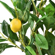 položky Umělé rostliny Lemon Tree Umělá hrnková rostlina 90cm