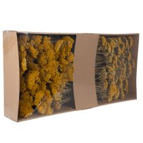 položky Sušené květy řebříčku řebříčku žluté 1kg
