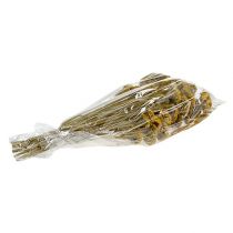 položky Achillea 1kg přírodní