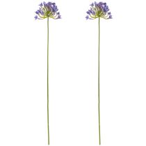 položky Agapanthus African Lily Umělé květiny Fialová L75cm 2ks