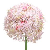 položky Allium s růžovými květy umělá cibule Ø18cm L90cm