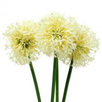 Cibule okrasná Allium umělá bílá 51cm 4ks