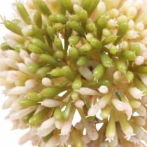 položky Cibule okrasná Allium umělá růžová / zelená Ø8cm 58cm
