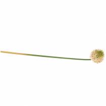 položky Cibule okrasná Allium umělá růžová / zelená Ø8cm 58cm