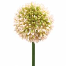 položky Cibule okrasná Allium umělá růžová / zelená Ø8cm 58cm