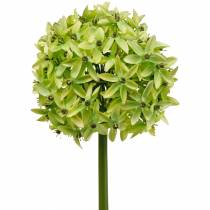 Okrasná cibule Allium, hedvábný květ, umělá kulička pórek zelený Ø20cm L72cm