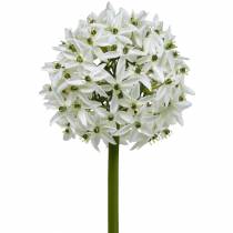 položky Dekorativní květina Allium, umělá kulička pórek, okrasná cibule bílá Ø20cm L72cm