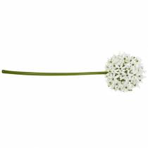 položky Dekorativní květina Allium, umělá kulička pórek, okrasná cibule bílá Ø20cm L72cm
