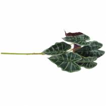 položky Alocasia arrow listová zelená, fialová umělá rostlina V48cm