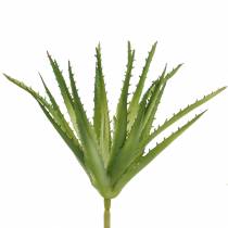 položky Aloe Vera umělá zelená 26cm