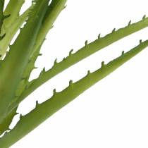 položky Aloe Vera umělá zelená 26cm