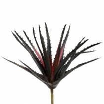 Aloe Vera umělá fialová 26cm