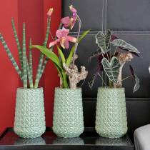 položky Alocasia arrow listová zelená, fialová umělá rostlina V48cm