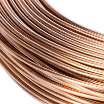 položky Hliníkový drát 2mm pro květinářství a řemesla 60m 500g